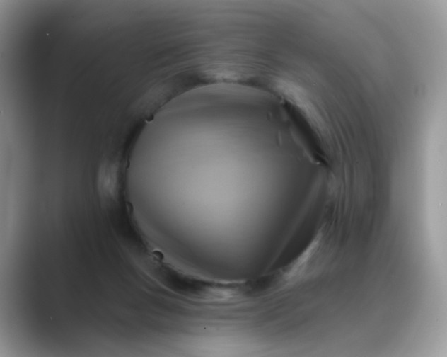 X0000089680167200707051613