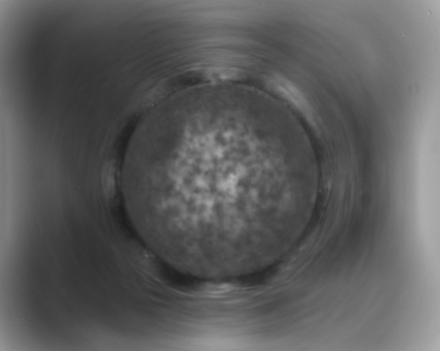 X0000089680169200707051613