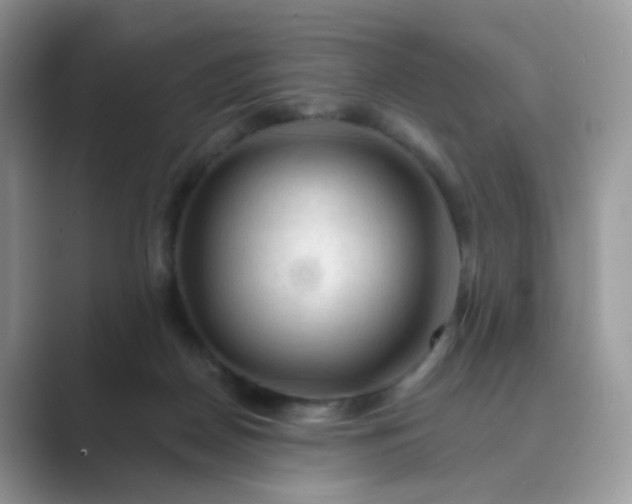 X0000089680170200707051613