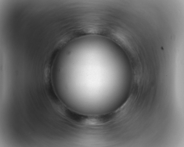 X0000089680171200707051613