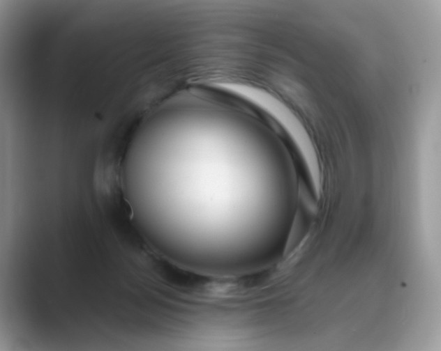 X0000089680172200707051613