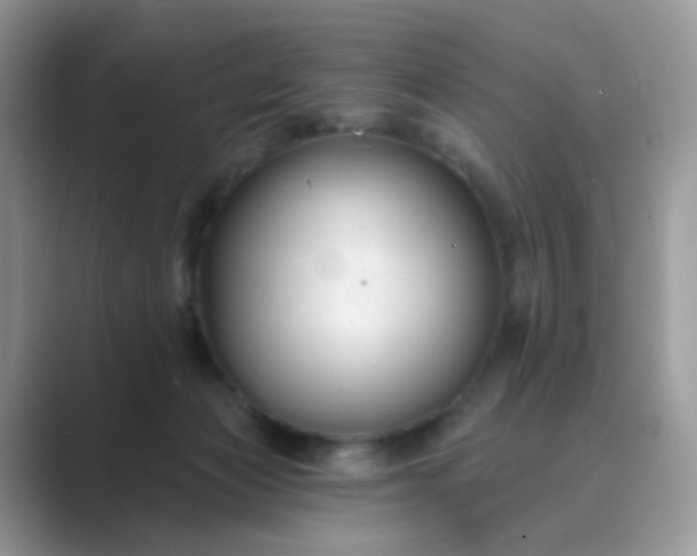 X0000089680173200707051613