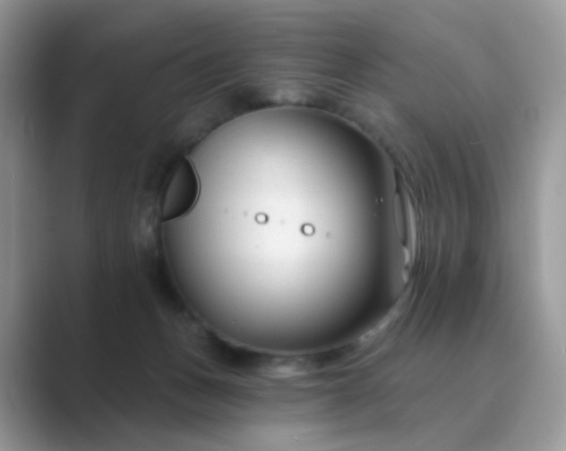 X0000089680175200707051613