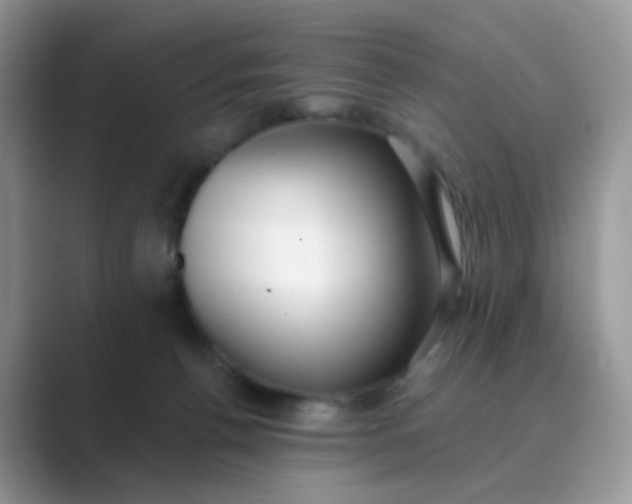 X0000089680176200707051613