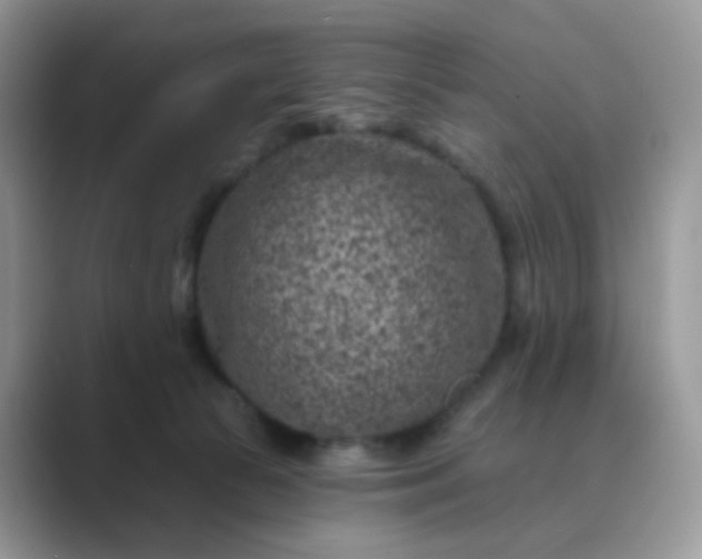 X0000089680177200707051613