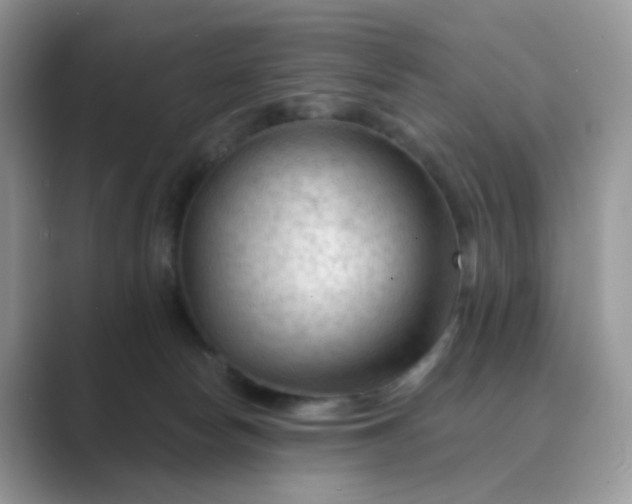 X0000089680178200707051613