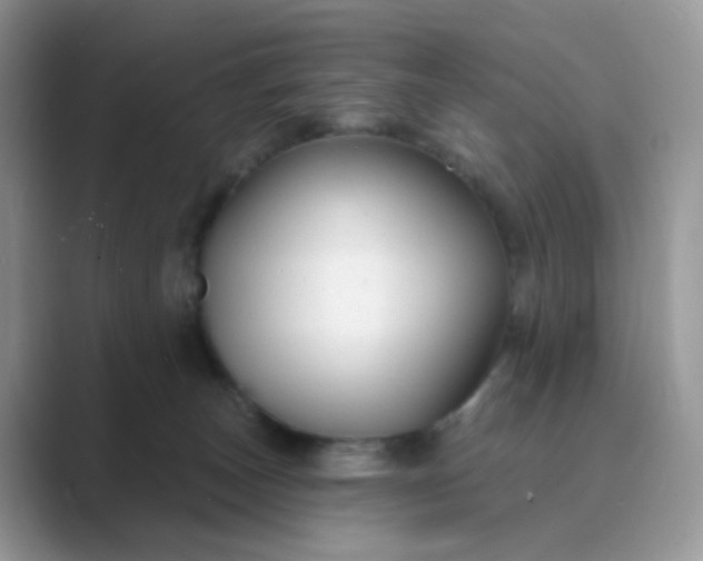X0000089680179200707051613