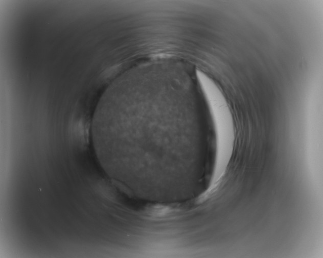 X0000089680180200707051613