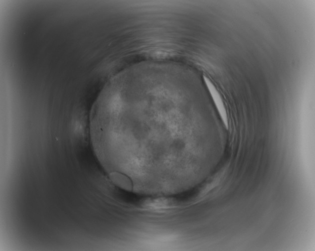 X0000089680181200707051613