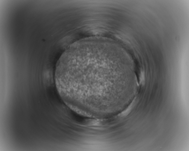 X0000089680182200707051613