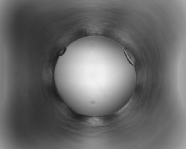 X0000089680183200707051613