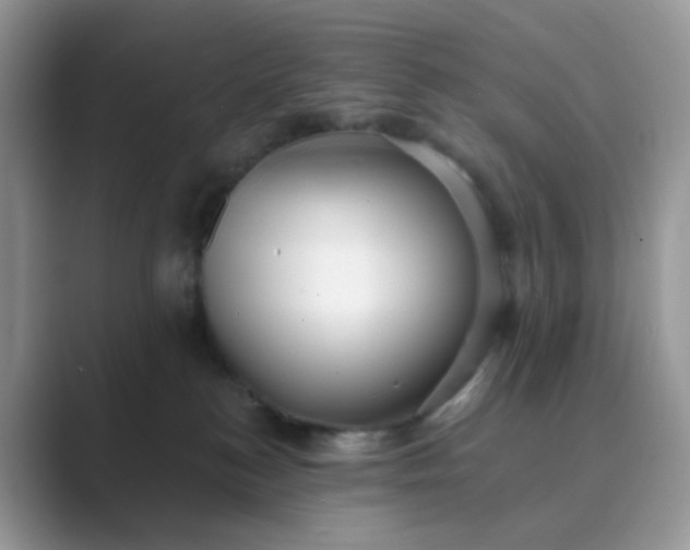 X0000089680184200707051613