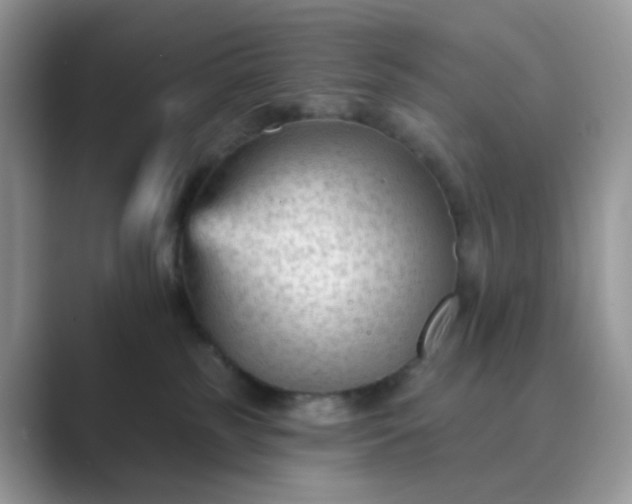 X0000089680185200707051613