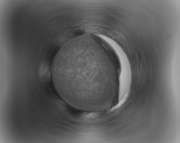 X0000089680186200707051613