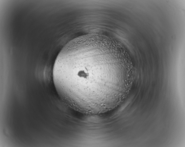 X0000089680189200707051613