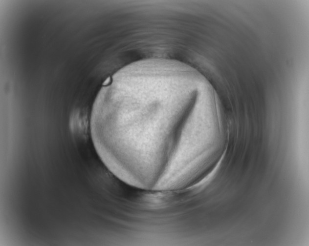 X0000089680190200707051613