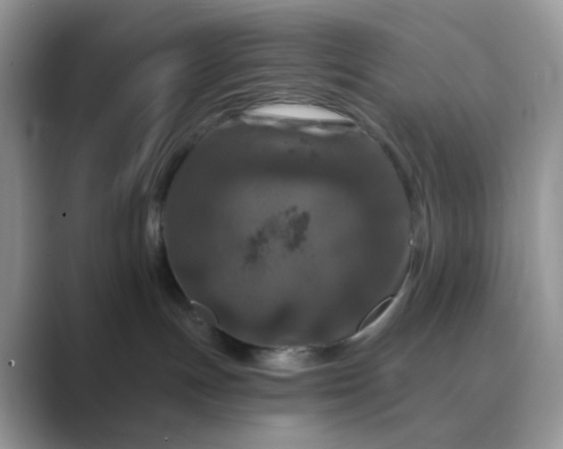 X0000089680191200707051613