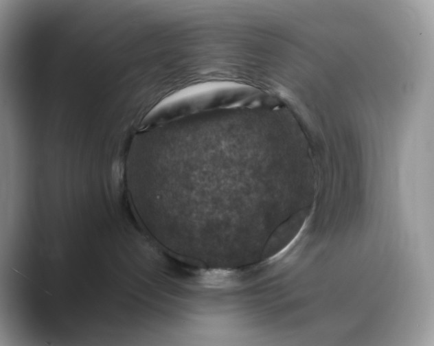 X0000089680192200707051613