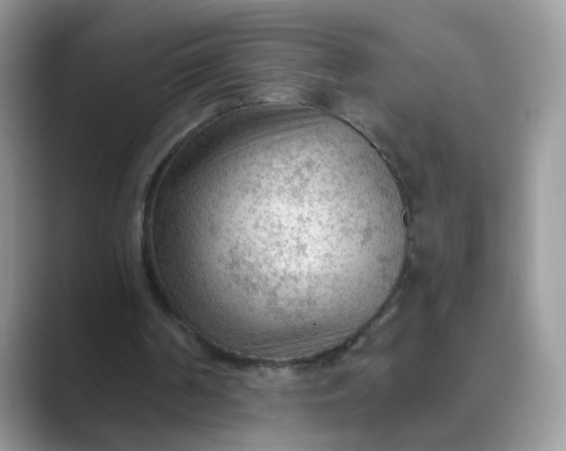 X0000089680194200707051613