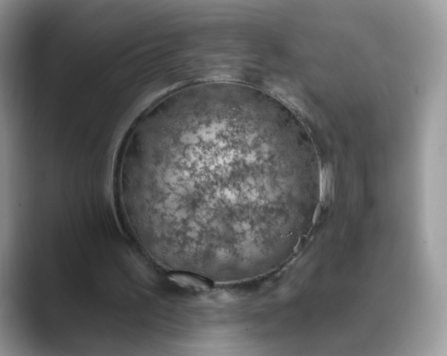 X0000089680195200707051613