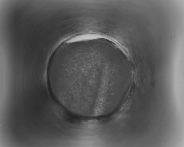 X0000089680196200707051613