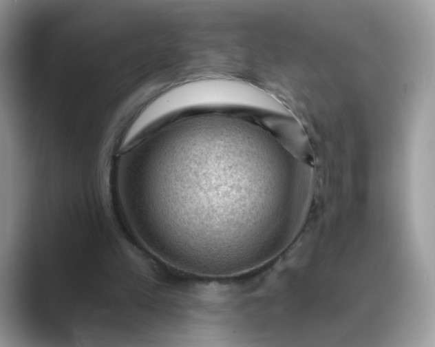 X0000089680197200707051613
