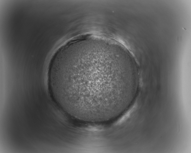 X0000089680199200707051613