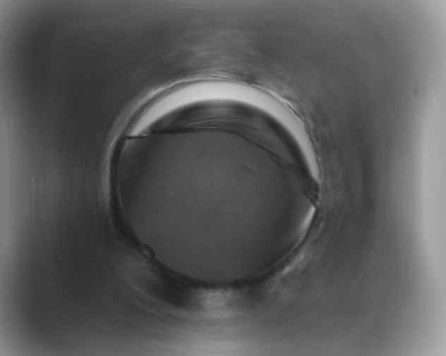 X0000089680200200707051613