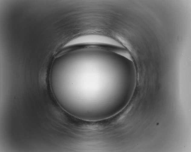 X0000089680201200707051613