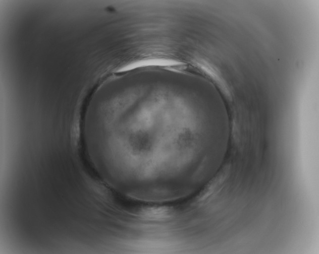 X0000089680202200707051613
