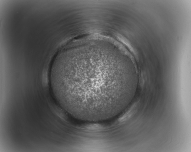 X0000089680203200707051613
