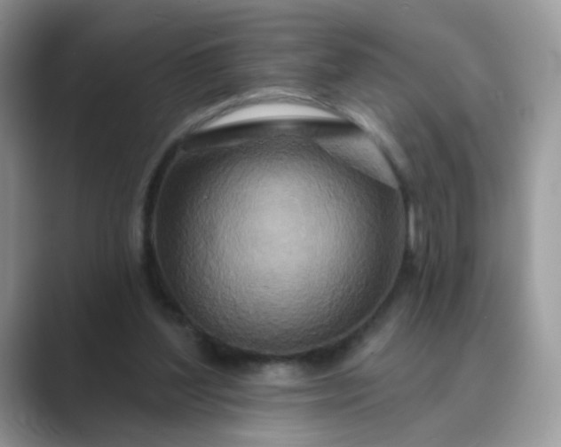 X0000089680204200707051613