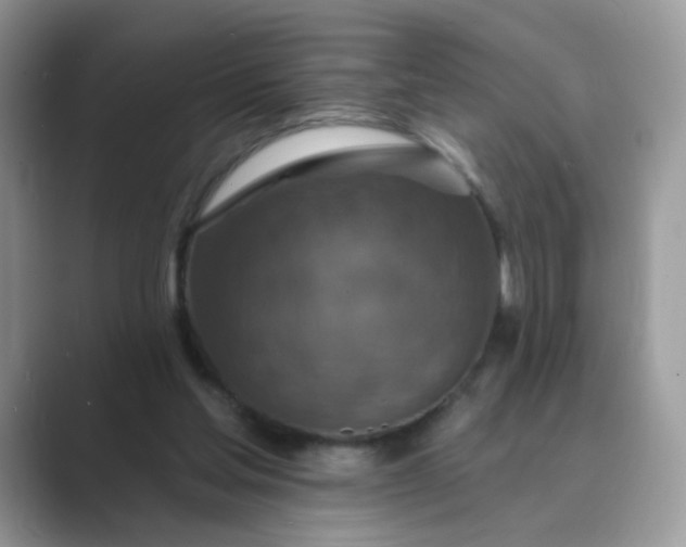 X0000089680205200707051613