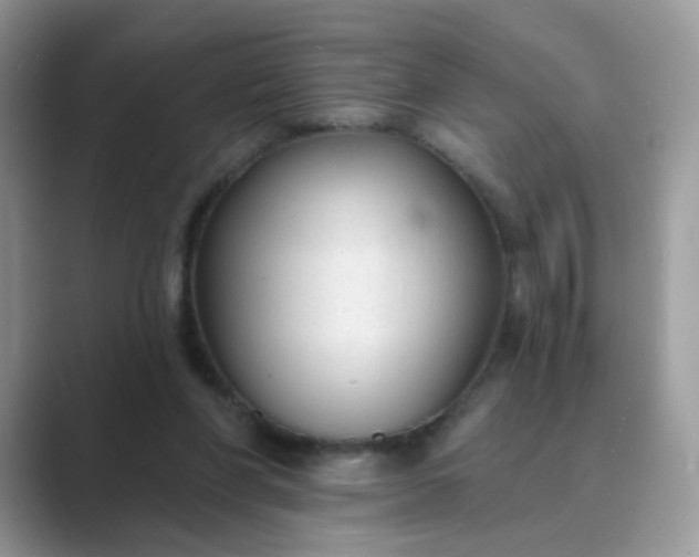 X0000089680206200707051613