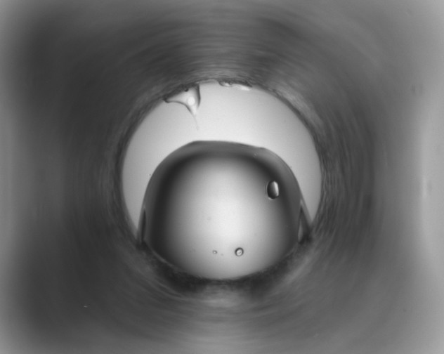 X0000089680207200707051613