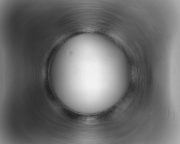 X0000089680208200707051613