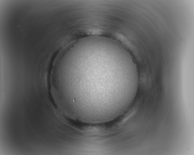 X0000089680209200707051613