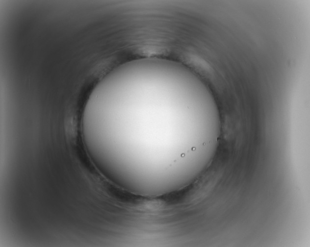 X0000089680210200707051612