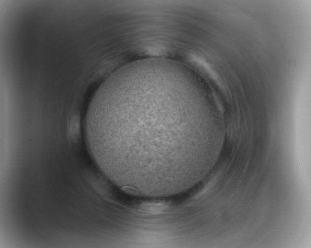 X0000089680213200707051612