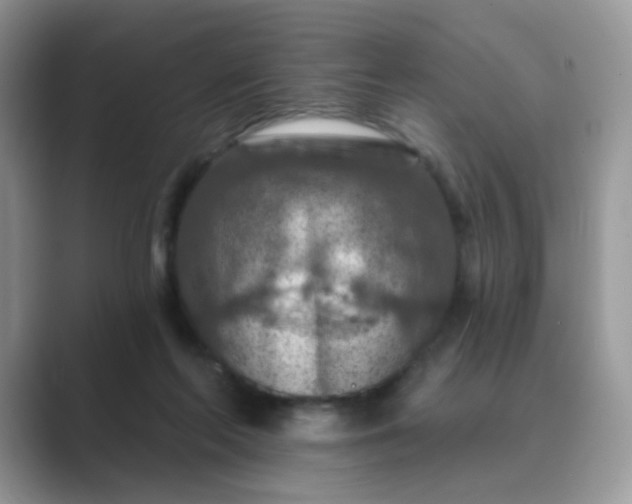 X0000089680214200707051612