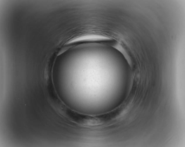 X0000089680215200707051612