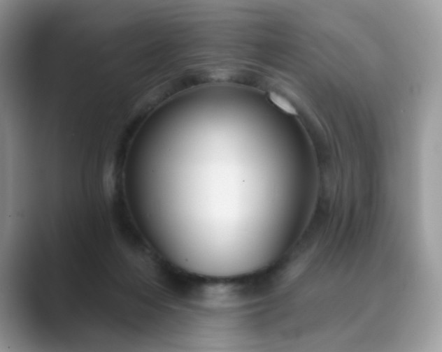X0000089680216200707051612