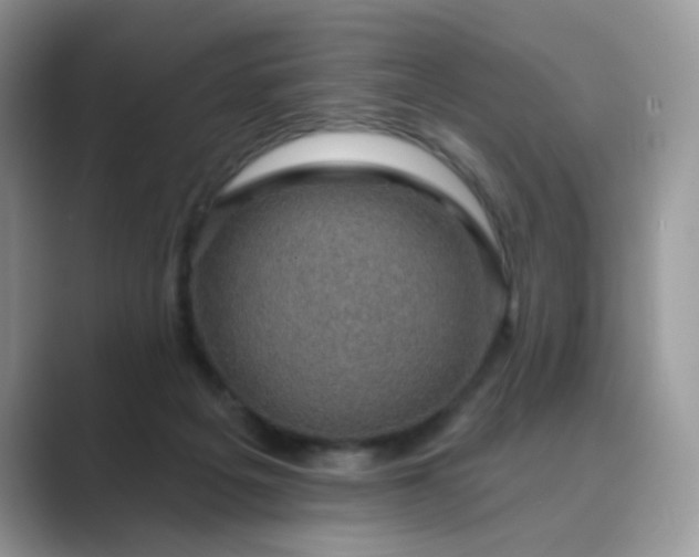 X0000089680217200707051612