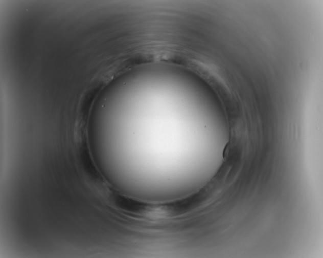 X0000089680218200707051612