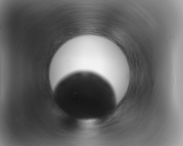 X0000089680219200707051612