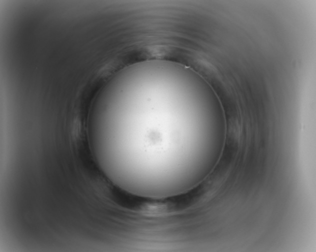 X0000089680220200707051612