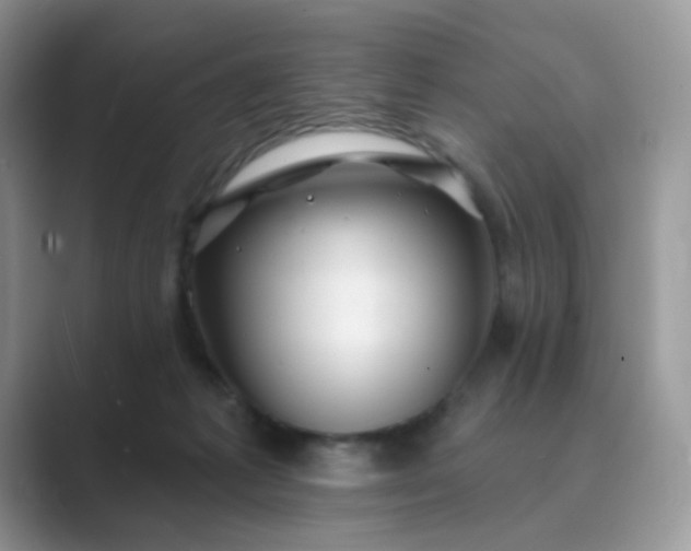X0000089680221200707051612