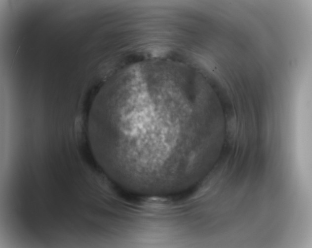 X0000089680222200707051612
