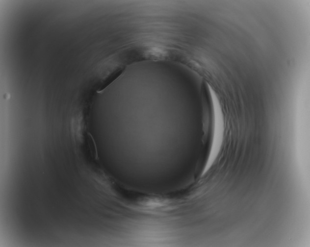 X0000089680223200707051612