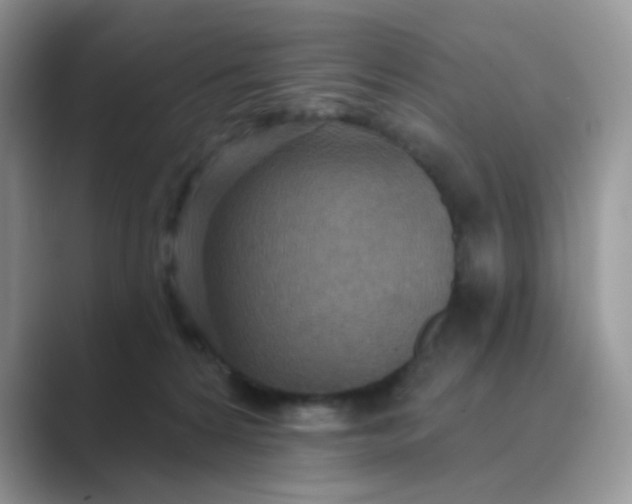 X0000089680224200707051612